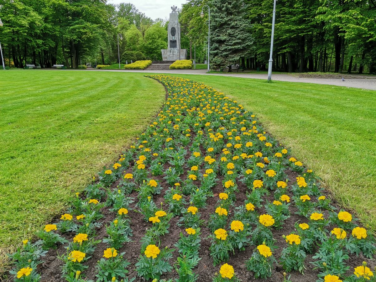 Park Kościuszki